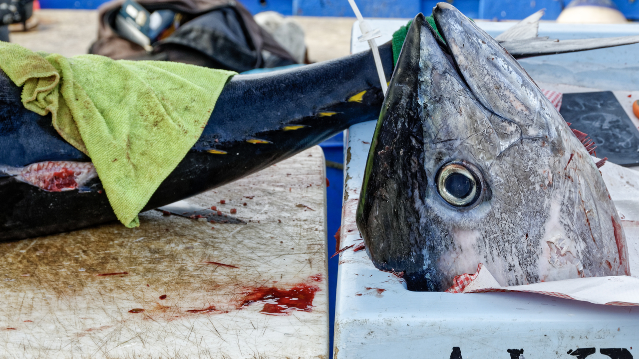 20191028 120532•Marseille 16•Provence•France